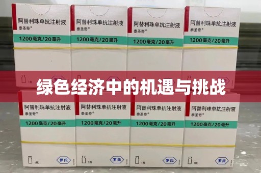 安阳绿色经济中的机遇与挑战