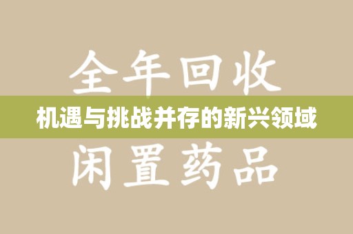 安阳机遇与挑战并存的新兴领域