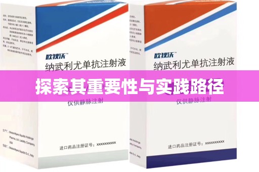安阳探索其重要性与实践路径