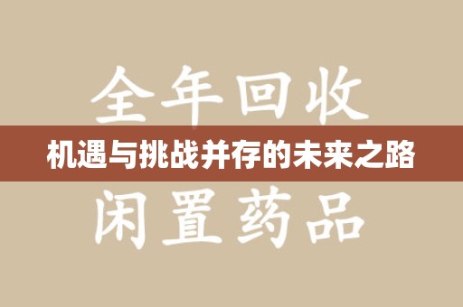 安阳机遇与挑战并存的未来之路