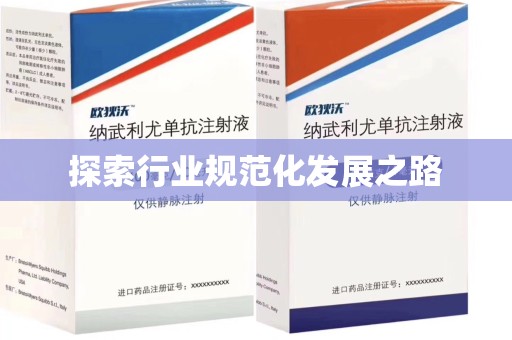 安阳探索行业规范化发展之路