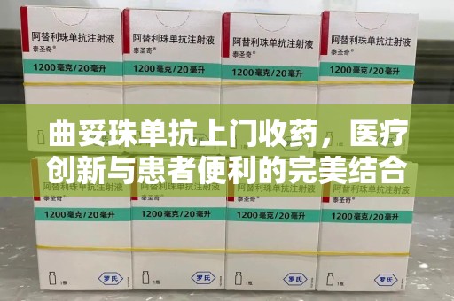 安阳曲妥珠单抗上门收药，医疗创新与患者便利的完美结合