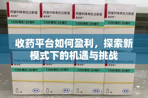 安阳收药平台如何盈利，探索新模式下的机遇与挑战