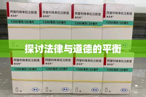 安阳探讨法律与道德的平衡